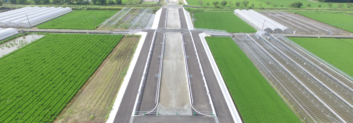 国道５０１号（飽田バイパス）